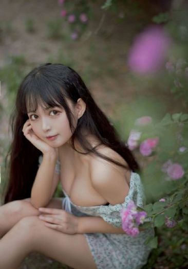高压监狱2019满天星法版免费