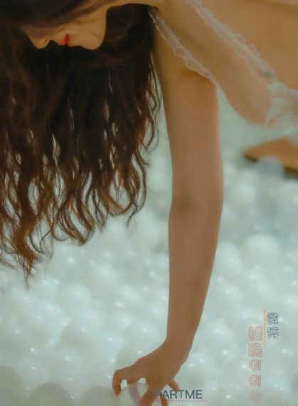 女婿回乡
