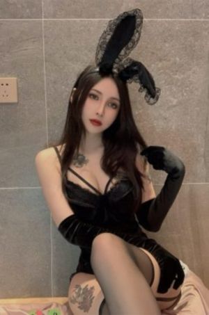 枪花免费观看完整电视剧全集