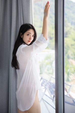 拉布拉多警长146集