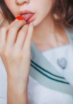 龙之家族第三季在线观看