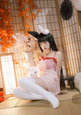 孤芳不自赏电视剧免费观看完整版
