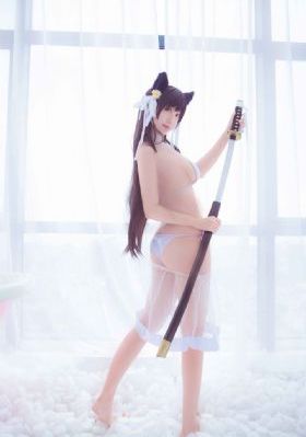 向日葵在夜晚绽放